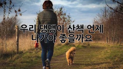 🐶 우리 댕댕이 산책, 언제 나가야 좋을까요? 🐾