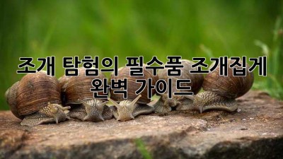 조개 탐험의 필수품! 조개집게 완벽 가이드